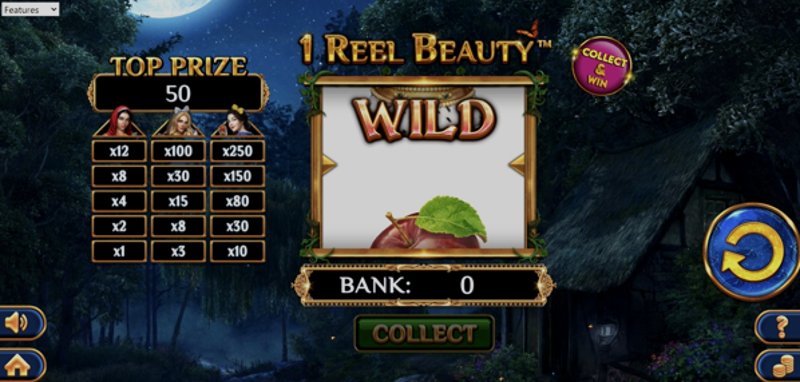 1 Reel Beauty Spinomenal в казино 1Win (1Вин) 1 Reel Beauty Spinomenal в казино 1Win (1Вин)