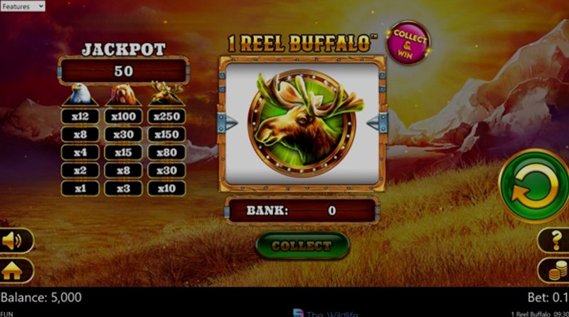 1 Reel Buffalo Spinomenal в казино 1Win (1Вин) 1 Reel Buffalo Spinomenal в казино 1Win (1Вин)