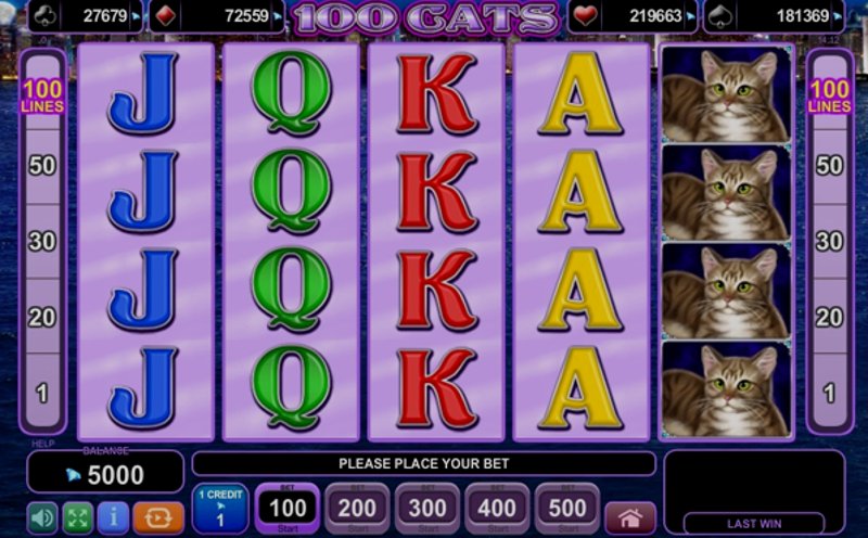 Играть 100 Cats от Amusnet Interactive в казино 1Win