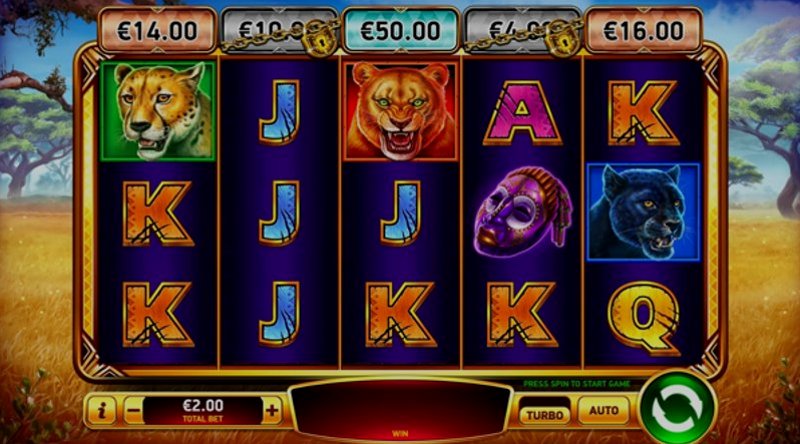 Играть African Cats от Rubyplay в казино 1Win