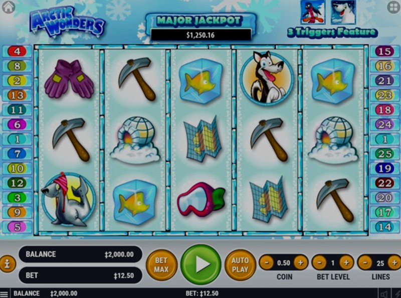 Играть Arctic Wonders от Habanero в казино 1Win
