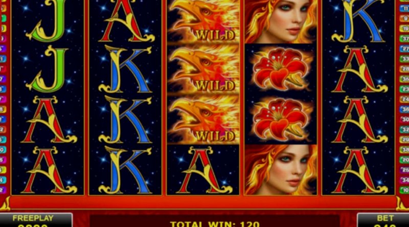 Arising Phoenix Amatic в казино 1Win (1Вин) Arising Phoenix Amatic в казино 1Win (1Вин)