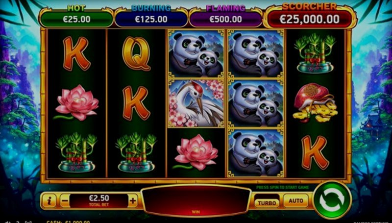 Играть Bamboo Fortune от Rubyplay в казино 1Win