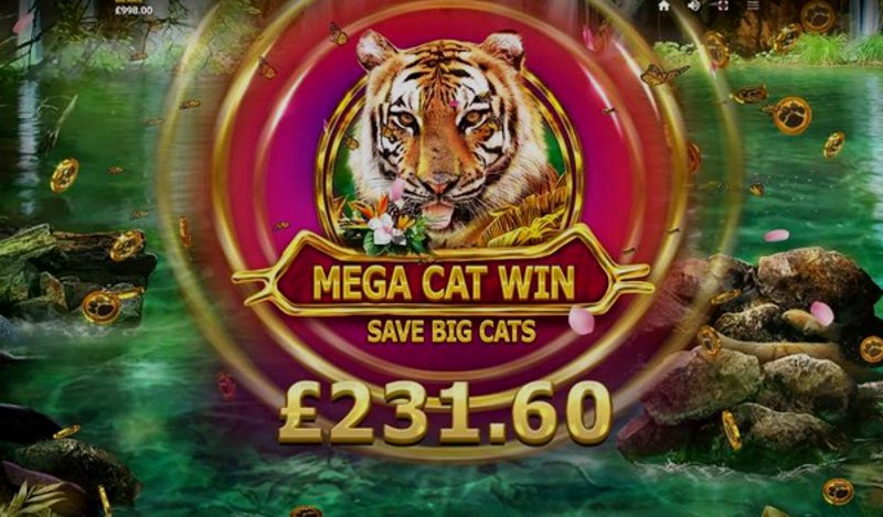 Играть Big Cat Rescue Megaways от Redtiger в казино 1Win
