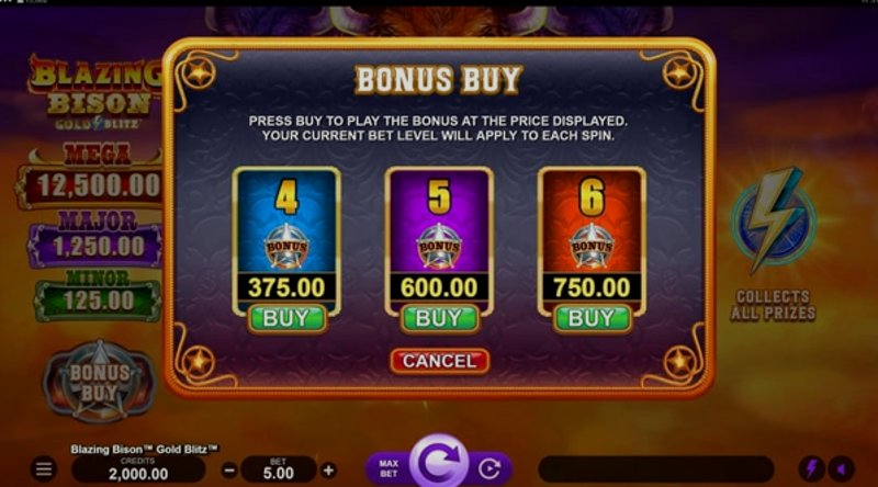 Играть Bison Gold от Netgaming в казино 1Win