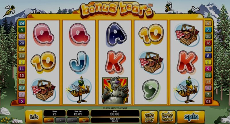 Играть Bonus Bears от Playtech в казино 1Win