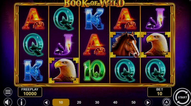 Играть Book of Wild от 1spin4win в казино 1Win