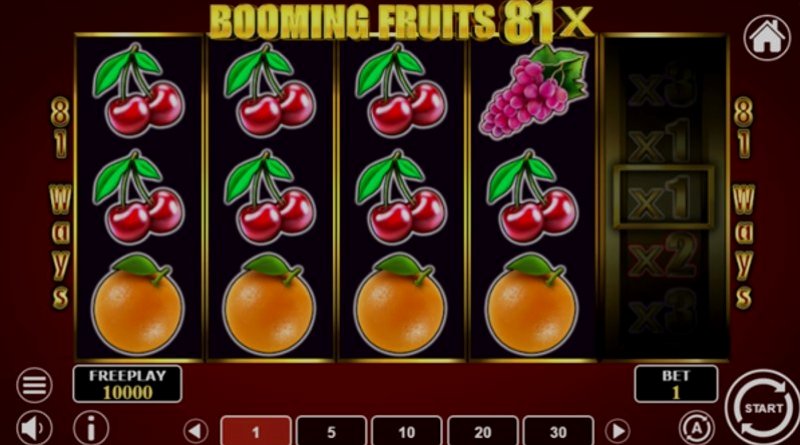 Играть Booming Fruits 81x от 1spin4win в казино 1Win