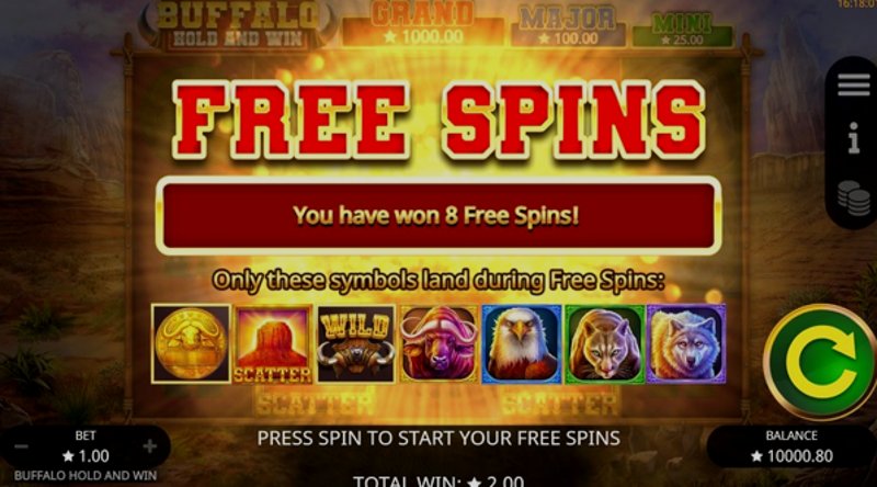 Играть Buffalo Hold and Win от Booming в казино 1Win