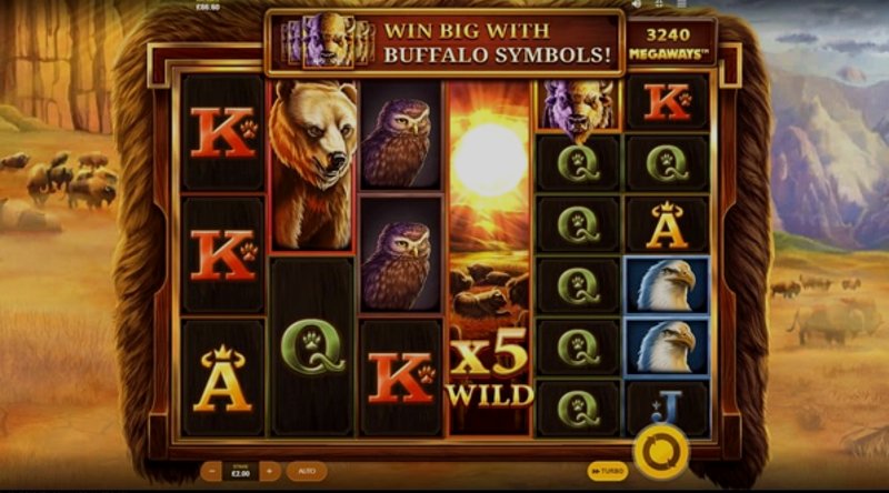 Играть Buffalo Mania MegaWays от Red Tiger в казино 1Win