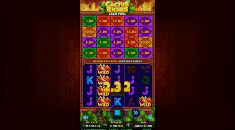 Играть Cactus Riches: Cash Pool от Netgame в казино 1Win