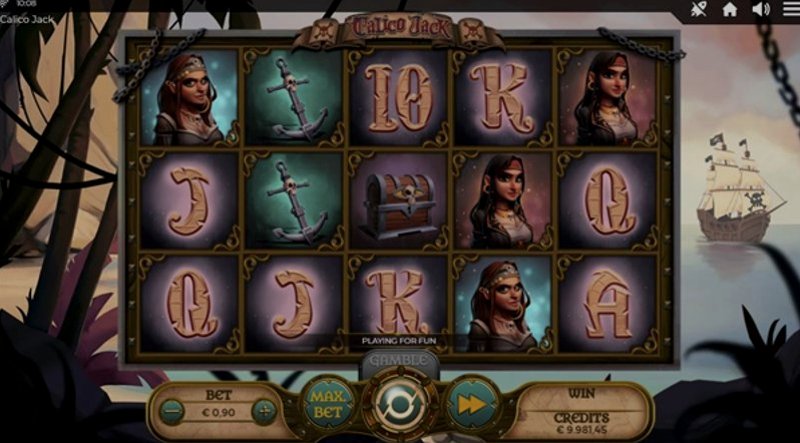 Играть Calico Jack от Spinmatic в казино 1Win