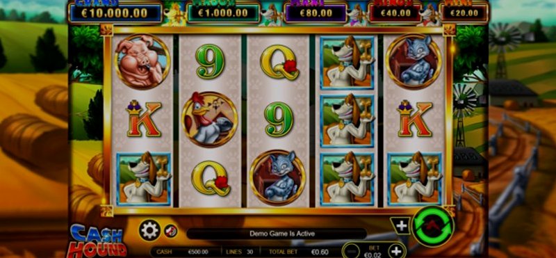 Играть Cash Hound от Ainsworthgame в казино 1Win