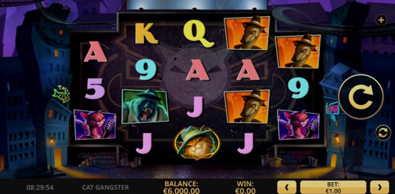 Играть Cat Gangster от High5 в казино 1Win