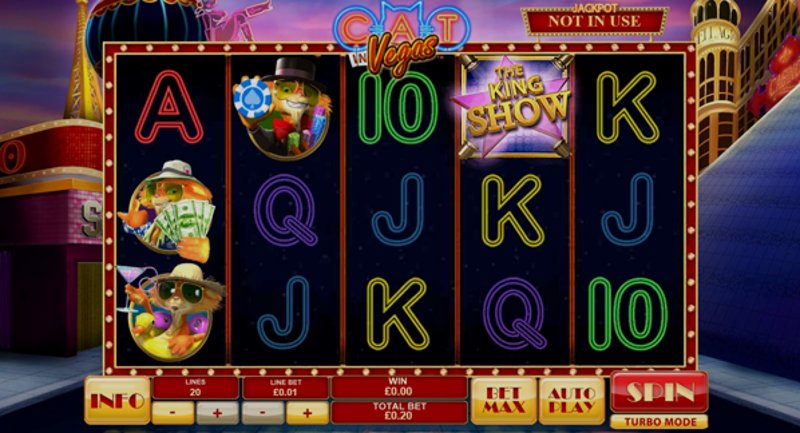 Играть Cat in Vegas от Playtech в казино 1Win