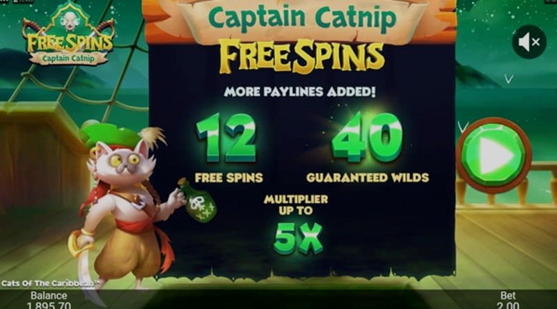 Играть Cats of the Caribbean от Games Global в казино 1Win