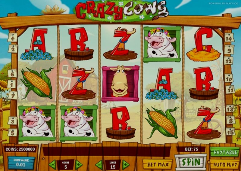 Играть Crazy Cows от Playn Go в казино 1Win