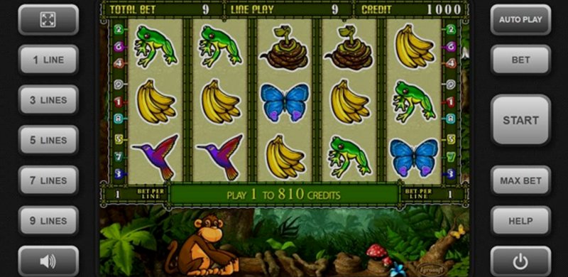 Играть Crazy Monkey от Igrosoft в казино 1Win