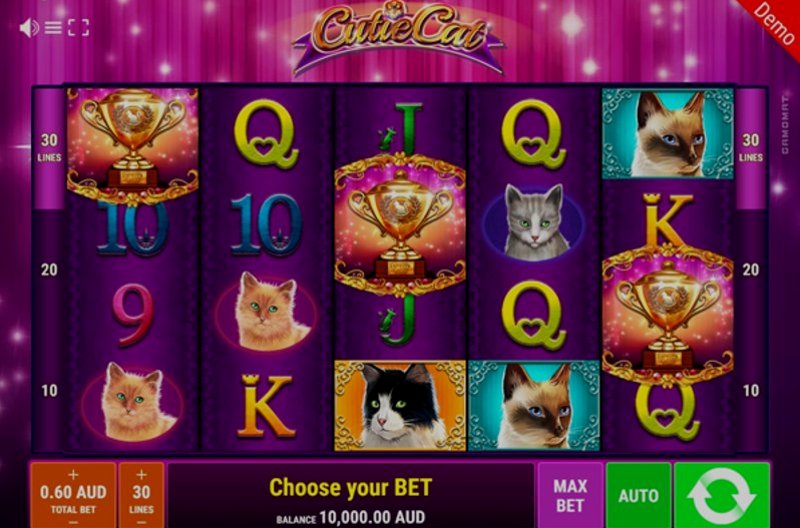 Играть Cutie Cat от Gamomat в казино 1Win