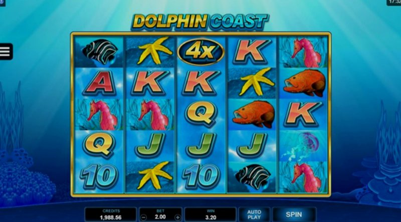Играть Dolphin Coast от Microgaming в казино 1Win