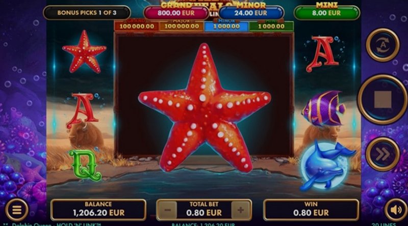 Играть Dolphin Queen от Netgame в казино 1Win