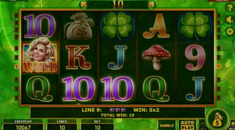 Играть Fortune Girl от Microgaming в казино 1Win