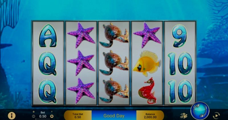 Golden Whale Spadegaming в казино 1Win (1Вин) Golden Whale Spadegaming в казино 1Win (1Вин)