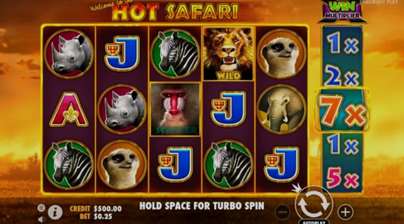 Играть Hot Safari от Pragmatic в казино 1Win