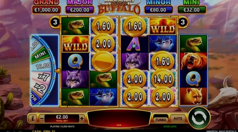 Играть Immortal Ways Buffalo от Rubyplay в казино 1Win
