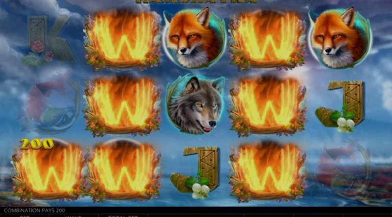 Играть Kamchatka от Endorphina в казино 1Win