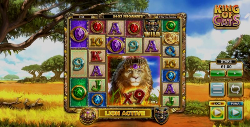 Играть King of Cats от Big Time Gaming в казино 1Win