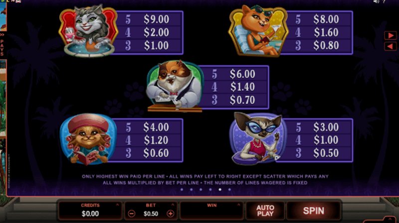 Играть Kitty Cabana от Microgaming в казино 1Win