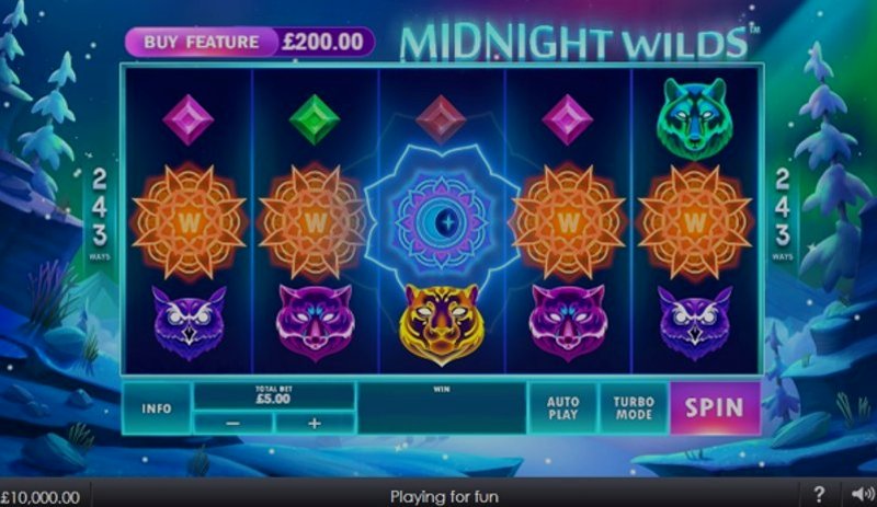 Играть Midnight Wilds от Playtech в казино 1Win