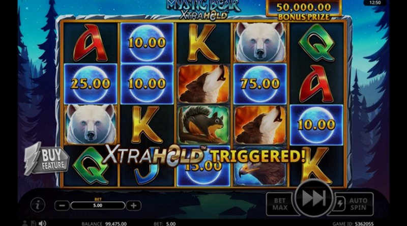 Играть Mystic Bear XtraHold от Swintt в казино 1Win