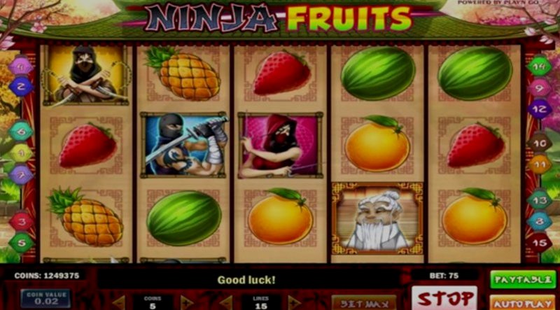 Играть Ninja Fruits от Playn Go в казино 1Win