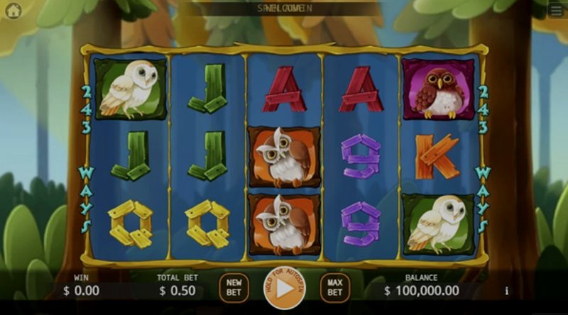 Играть Owl In Forest от Kagaming в казино 1Win