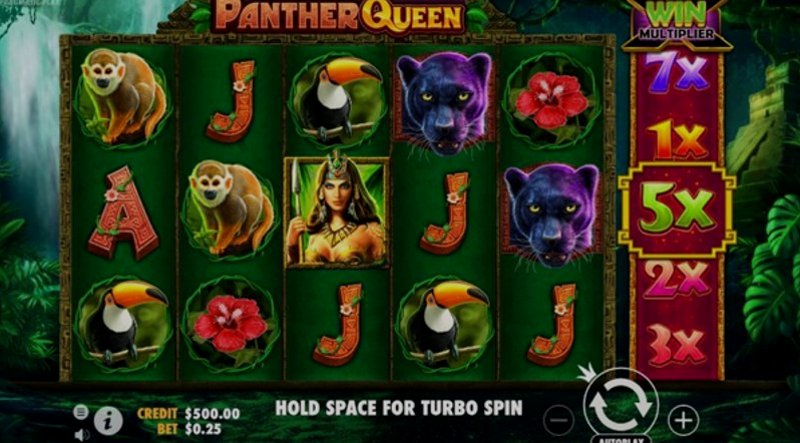 Играть Panther Queen от Pragmatic в казино 1Win