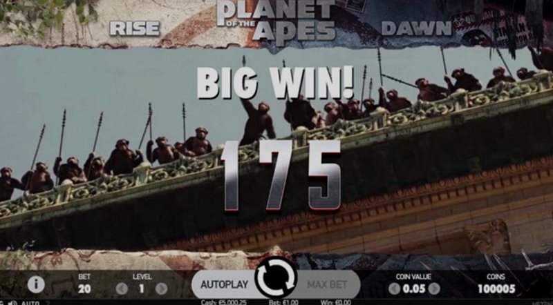 Играть The Apes от Kagaming в казино 1Win