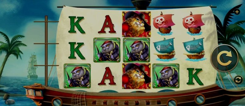 Играть PURRates of the CATibbean от High5 в казино 1Win