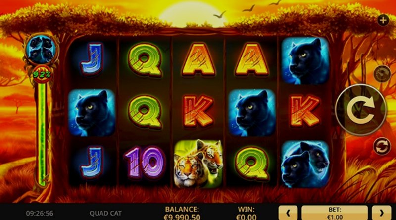 Играть Quad Cat от High5 в казино 1Win