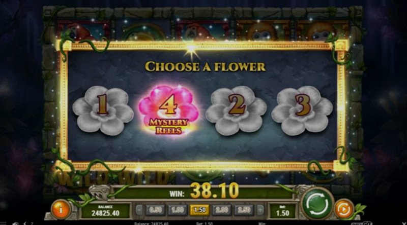 Играть Rainforest Magic от Playn Go в казино 1Win