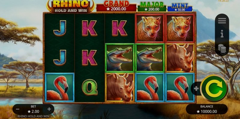 Играть Rhino Hold and Win от Booming в казино 1Win
