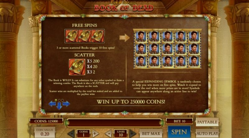 Играть Book of Dead от Playn Go в казино 1Win