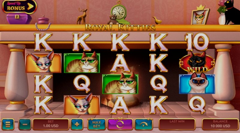 Играть Royal Kitties от Onlyplay в казино 1Win