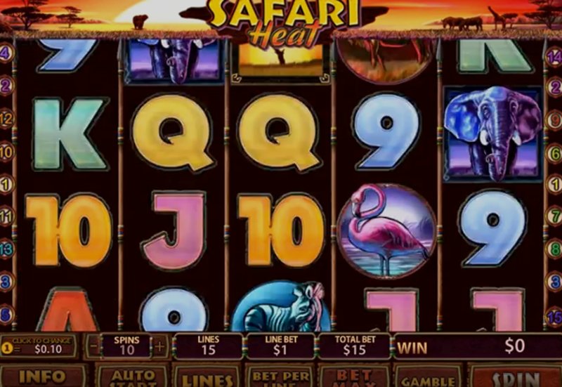 Играть Safari Heat от Playtech в казино 1Win