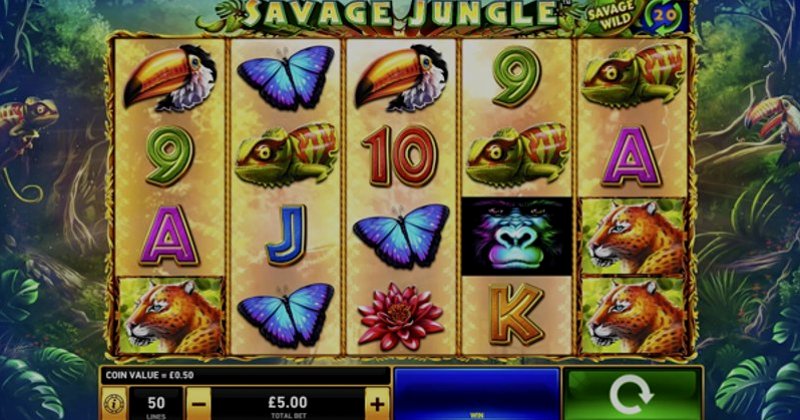 Играть Savage Jungle от Playtech в казино 1Win