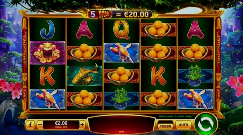 Играть Shake Shake Money Tree от Rubyplay в казино 1Win