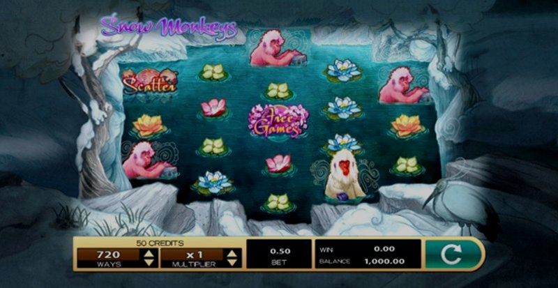 Играть Snow Monkeys от High5 в казино 1Win