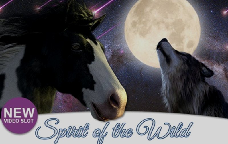 Spirit Of The Wild Genii в казино 1Win (1Вин) Spirit Of The Wild Genii в казино 1Win (1Вин)