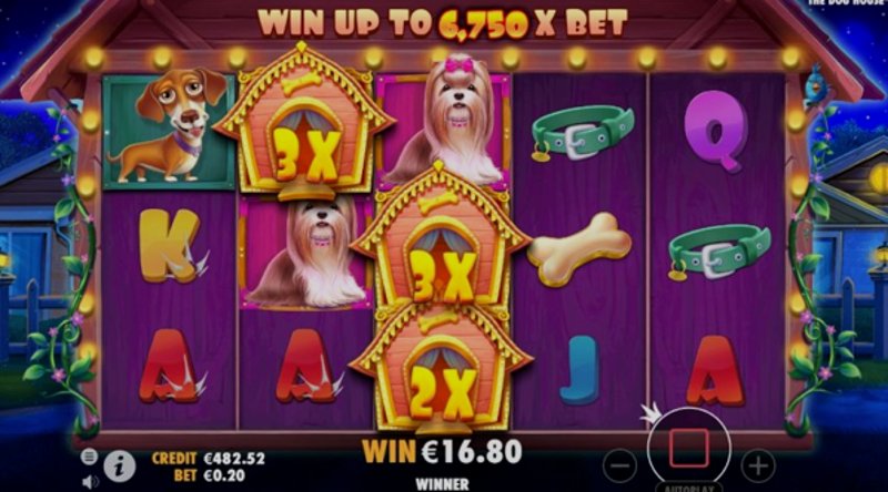 Играть The Dog House от Pragmatic в казино 1Win